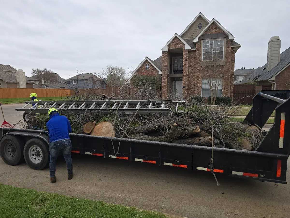 Expert Lot Clearing with proper safety equipment in Dennison